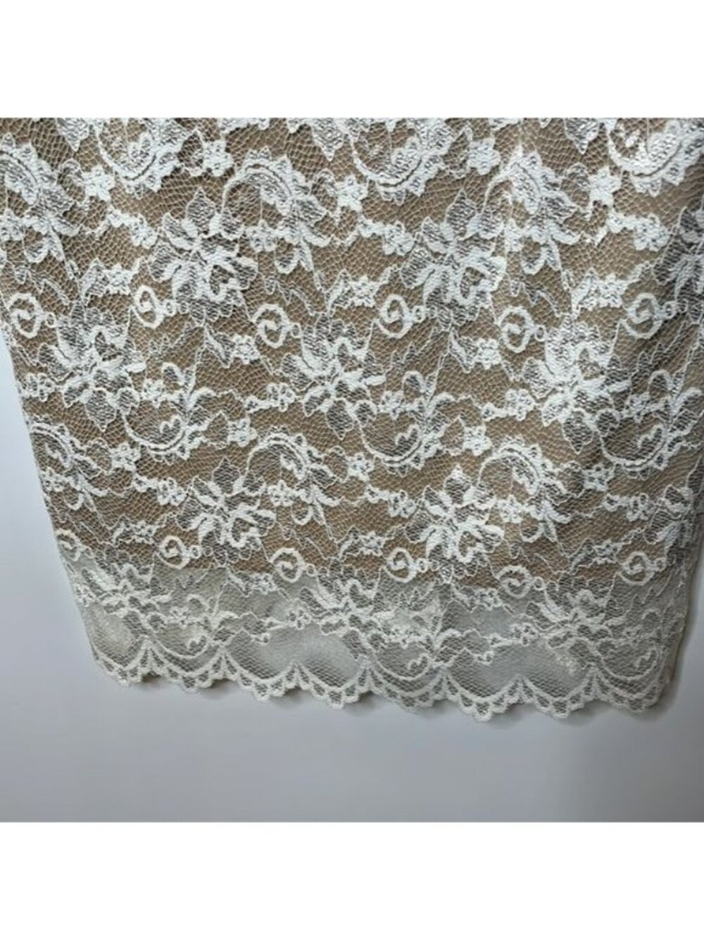 NWT ABS Allen Schwartz Womens Ivory Lace Overlay Sheath Dress PLUS SIZE 20W - Picture 8 of 11